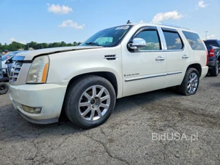 CADILLAC ESCALADE LUXURY