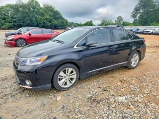 LEXUS HS 250H