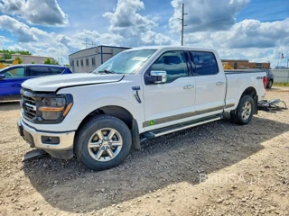 FORD F150 XLT