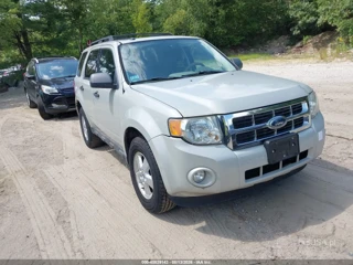 FORD FORD ESCAPE XLT