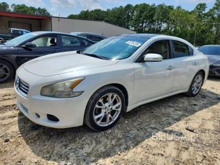 NISSAN MAXIMA 3.5 SV