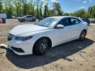 ACURA TLX TECH
