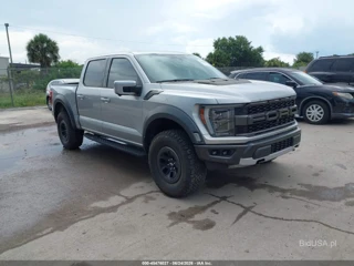 FORD FORD F-150 RAPTOR