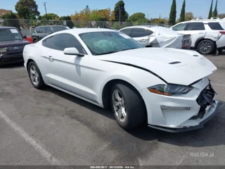 FORD FORD MUSTANG ECOBOOST FASTBACK