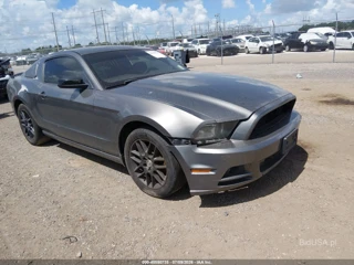 FORD FORD MUSTANG V6/V6 PREMIUM