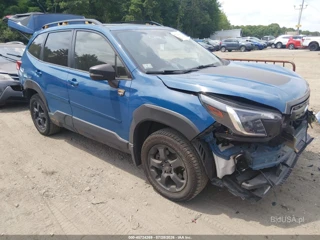 SUBARU SUBARU FORESTER WILDERNESS