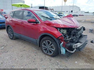HONDA HONDA CR-V 2WD EX