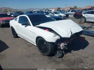 FORD FORD MUSTANG V6/V6 PREMIUM