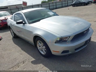 FORD FORD MUSTANG V6
