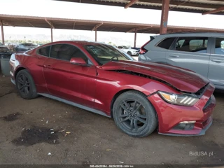 FORD FORD MUSTANG ECOBOOST
