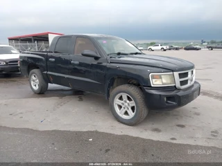 DODGE DODGE DAKOTA SXT/BIGHORN/LONESTAR