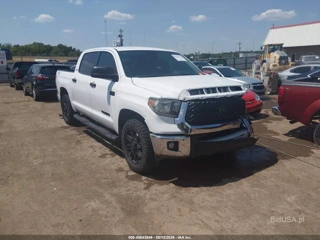 TOYOTA TOYOTA TUNDRA SR5