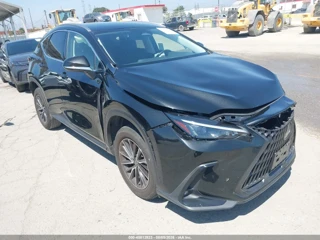 LEXUS LEXUS NX 250