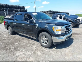 FORD FORD F-150 XLT