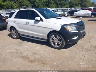 MERCEDES-BENZ MERCEDES-BENZ ML 350
