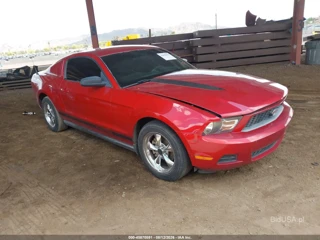 FORD FORD MUSTANG V6/V6 PREMIUM