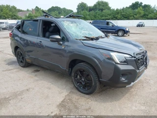 SUBARU SUBARU FORESTER WILDERNESS