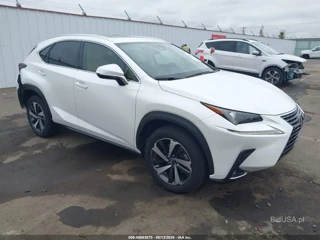 LEXUS LEXUS NX 300