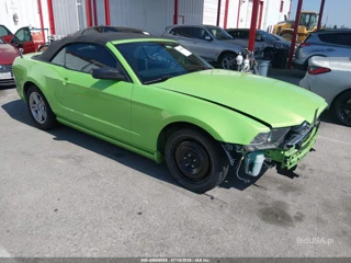 FORD FORD MUSTANG V6