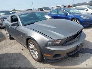 FORD FORD MUSTANG V6/V6 PREMIUM