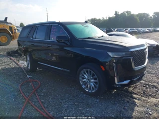 CADILLAC CADILLAC ESCALADE 2WD PREMIUM LUXURY