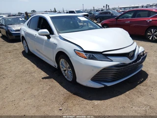 TOYOTA TOYOTA CAMRY HYBRID XLE