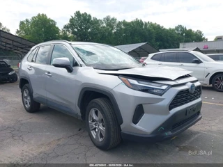 TOYOTA TOYOTA RAV4 HYBRID XLE