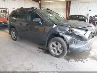 TOYOTA TOYOTA RAV4 HYBRID XLE
