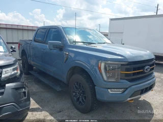 FORD FORD F-150 TREMOR