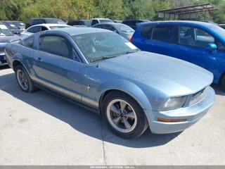 FORD FORD MUSTANG V6
