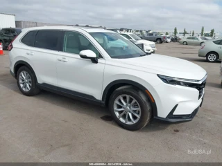 HONDA HONDA CR-V EX-L 2WD
