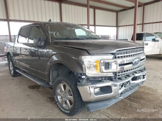 FORD FORD F-150 XLT