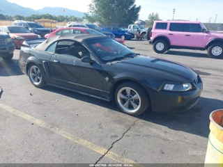 FORD FORD MUSTANG