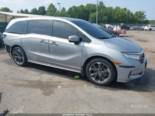 HONDA HONDA ODYSSEY ELITE