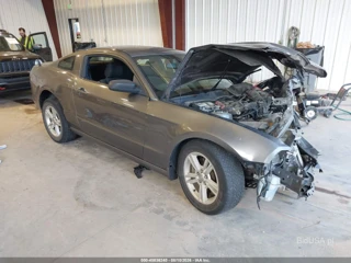 FORD FORD MUSTANG V6