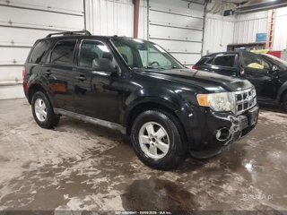FORD FORD ESCAPE XLT