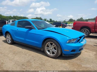 FORD FORD MUSTANG V6