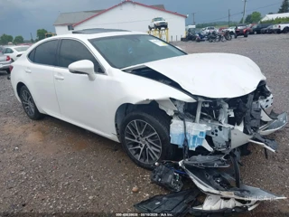 LEXUS LEXUS ES 350