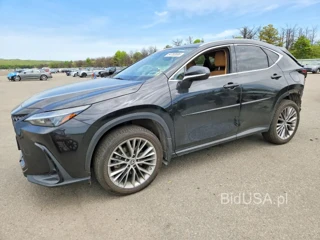 LEXUS NX 350H