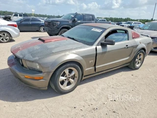 FORD MUSTANG GT