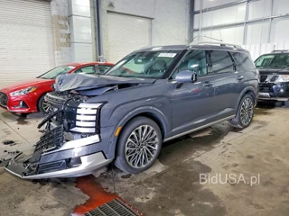 HYUNDAI PALISADE CALLIGRAPHY