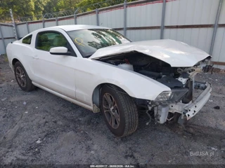 FORD FORD MUSTANG V6 PREMIUM
