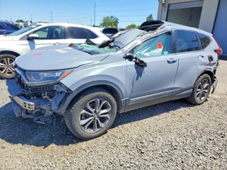 HONDA CR-V EX