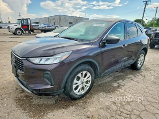FORD ESCAPE ACTIVE
