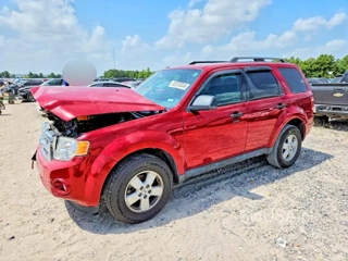 FORD ESCAPE XLT