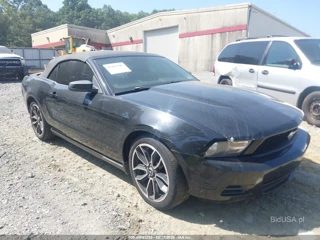 FORD FORD MUSTANG V6/V6 PREMIUM