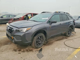 SUBARU OUTBACK WILDERNESS