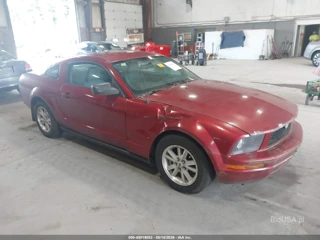 FORD FORD MUSTANG V6