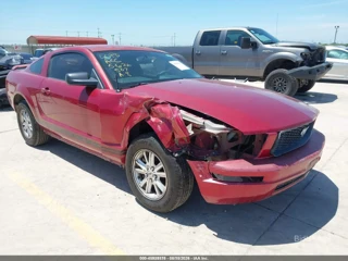 FORD FORD MUSTANG V6