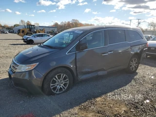 HONDA ODYSSEY EX